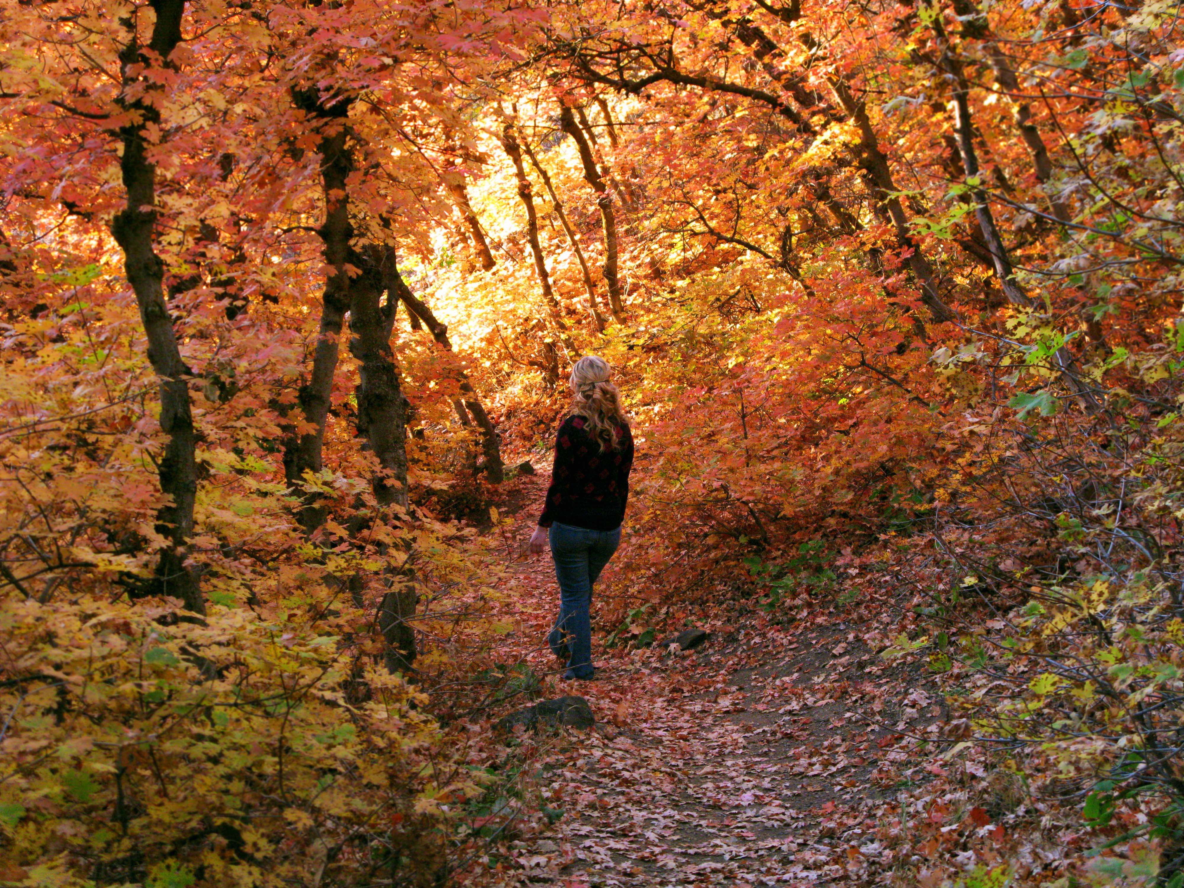 Making Room for Happiness Without Chasing Perfection