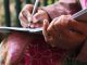 Manifest through Journaling